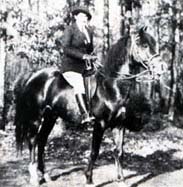 Tabab (ridden)