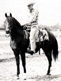 Witezar (ridden western)
