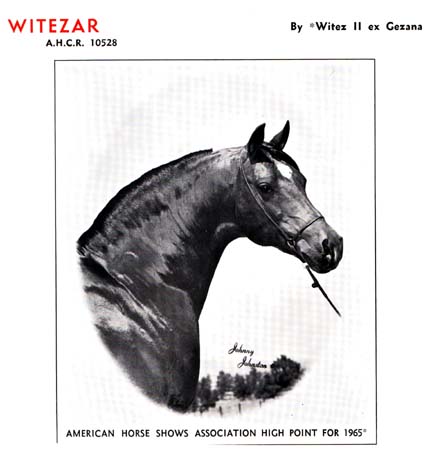 Witezar (ad)