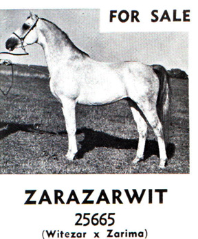 Zarazarwit