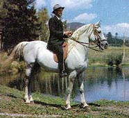 *Zarife (in color)