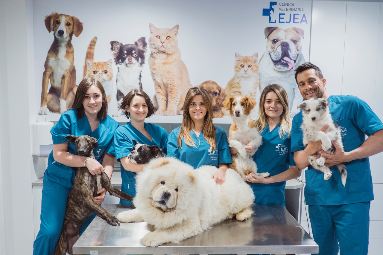 Equipo Veterinario