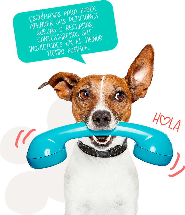 Contacto Veterinaria