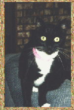 img3.gif - 28758 Bytes
