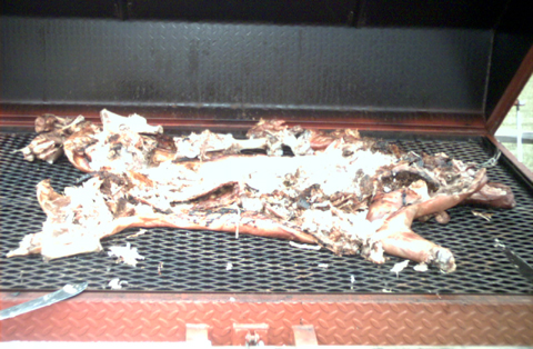The decimated piggy