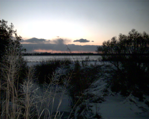White Oak river in the snow.