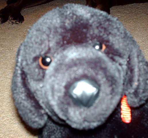 Little Henry