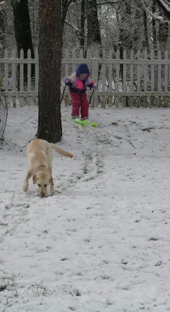Bethan skis, Jake tracks a scent