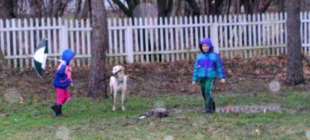 Our yard without snow in January