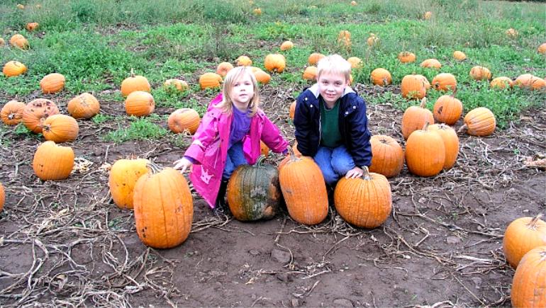 Picking pumpkins