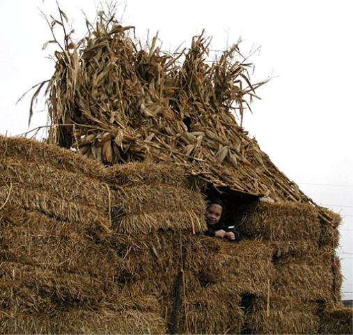King of the hay bail maze