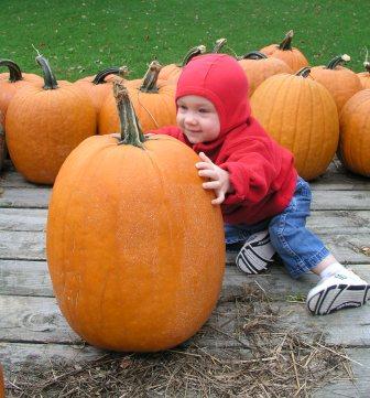 Pumpkin Pals