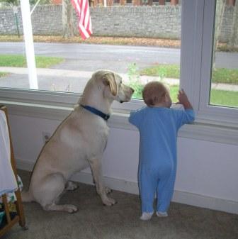 Boys checking the neighborhood