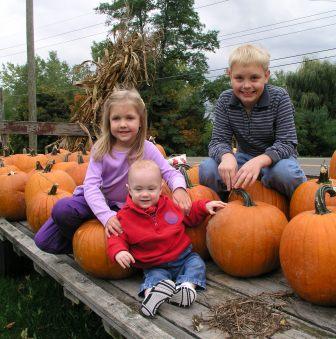 Picking pumpkins