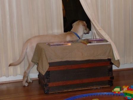 Jake on watch patrol
