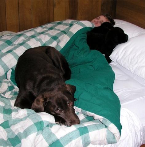 Morgan sneaks up onto the mattress