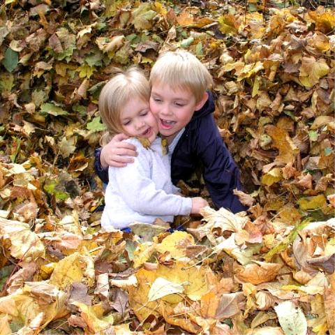 "Leaf me alone, I don't want any hugs right now!"