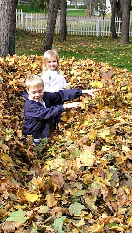Leaf dancing