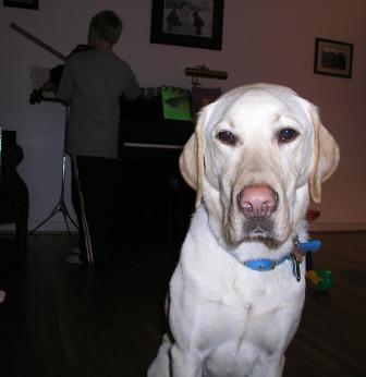 Jake listens to Jeffery playing viola