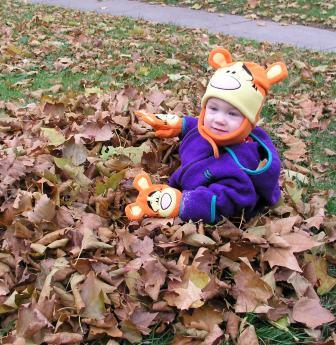 Loving the leaves
