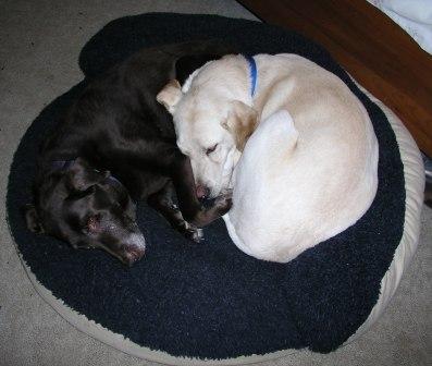 Morgan and Jake