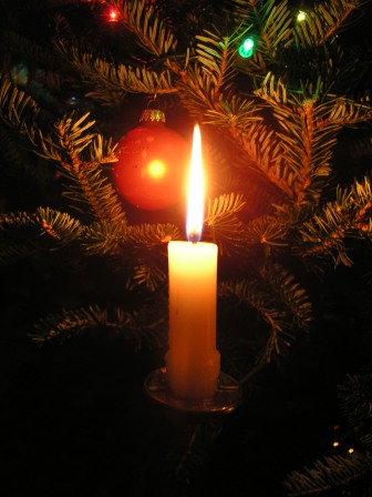 Maya's candlelit tree