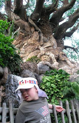 The Tree of Life