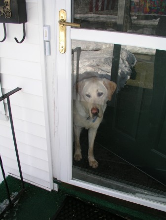 Jake watching the snow building from inside