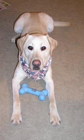 Jake - age 1 year