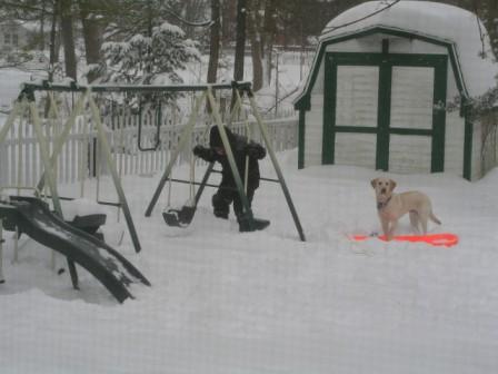 Uncovering the swing set
