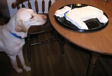 Jake checks out his birthday cake