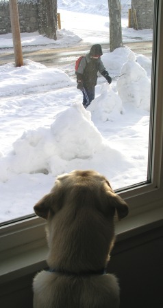 Jake keeping an eye on Jeffery