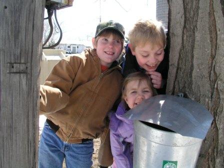 Checking out an "old fashioned" sap bucket