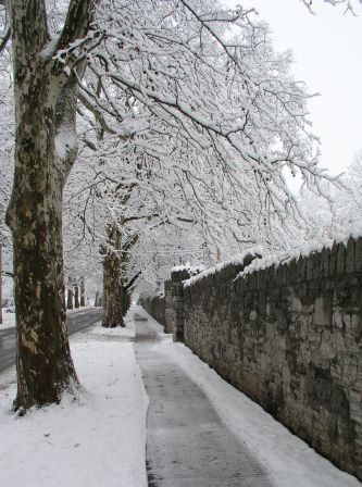 A late March snowfall