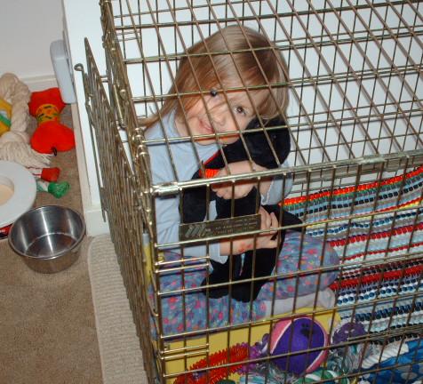 Bethan gets the kennel warmed up.