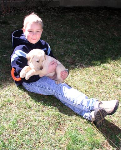 A lap dog for a short time.