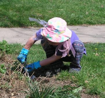 Bethan doing some spring planting