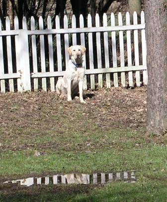 Jake does guard duty