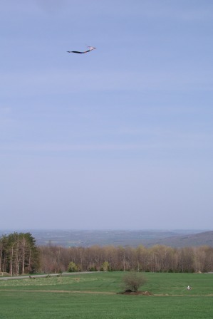 Jeffery and Bethan flying the kite (they are in the lower right corner).