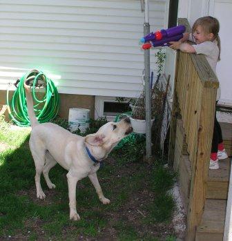 Jake finds something he enjoys as much as fetching balls