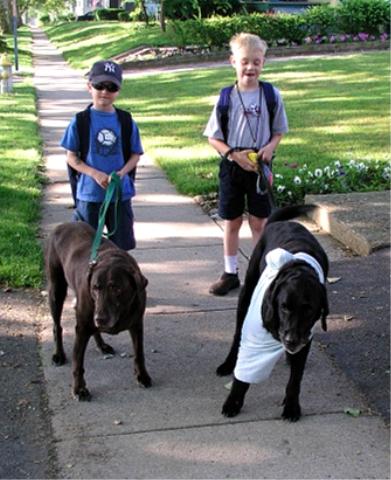 Bus stop boys with pups.&nbsp; Henry with t-shirt over his boo-boo