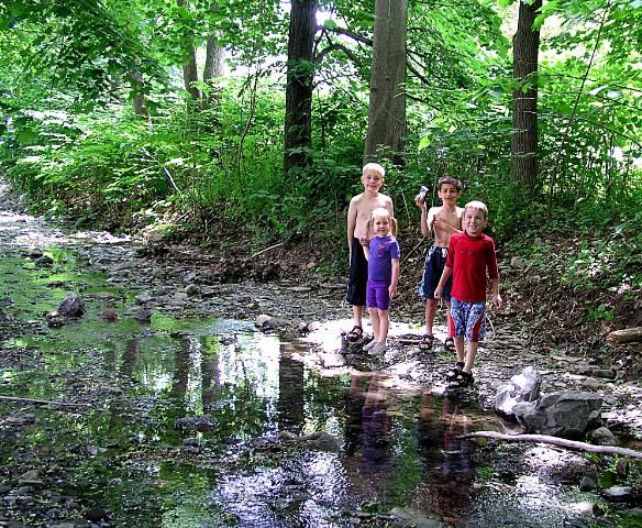A gully adventure