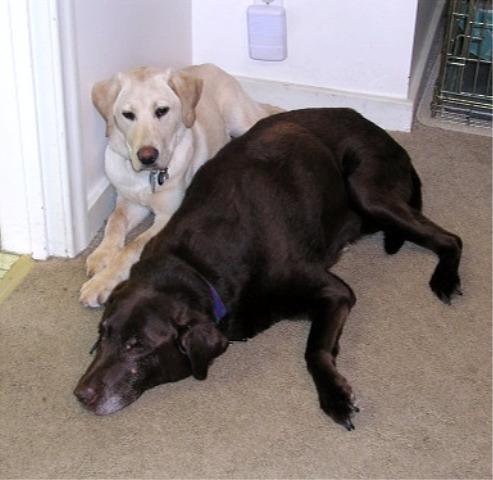 Jake settles in with Morgan