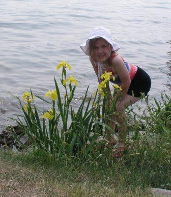 Flowers by Canandaigua Lake 