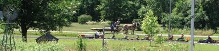 Horse and buggy with diesel train