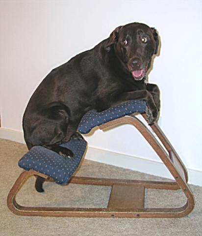 11 years - Morgan still sits in her chair