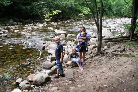 Trout River