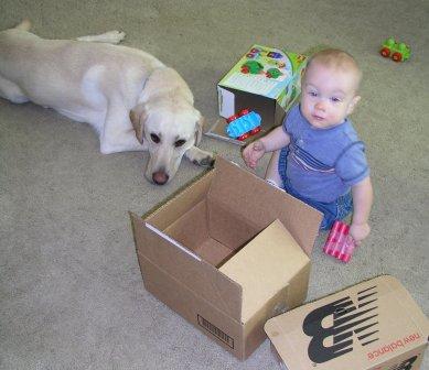 Boxes...the favorite toys