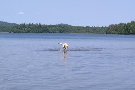 Jake loved the water