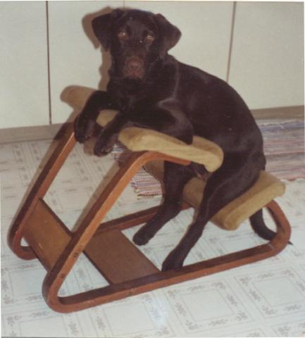 Morgan sits in her chair as a puppy
